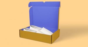mailer box for shoes