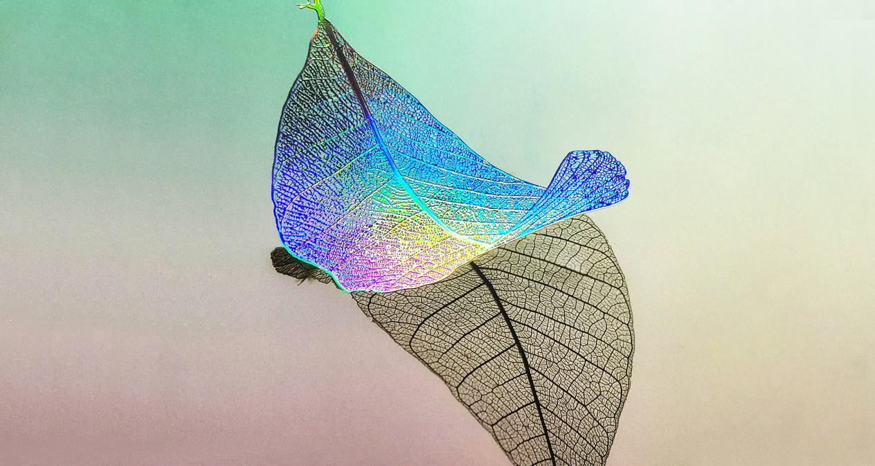 Holographic foil stamping is a newer form of foil stamping that creates