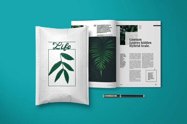 custom bubble mailer show case