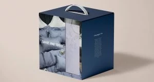 corrugated box with handle